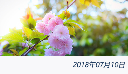 众赢国际(中国)官方网站