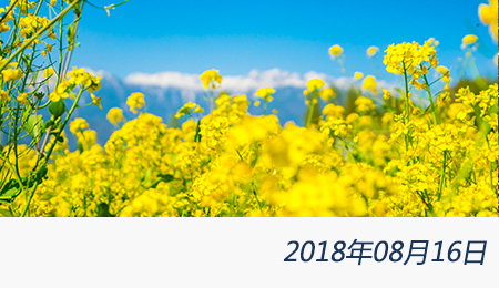 众赢国际(中国)官方网站