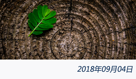 众赢国际(中国)官方网站