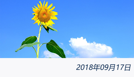 众赢国际(中国)官方网站