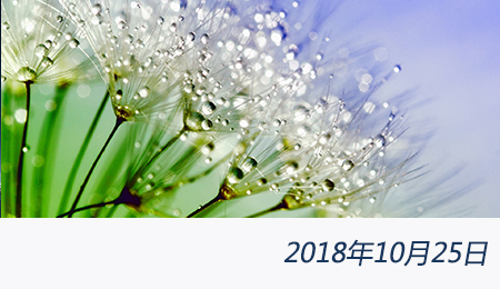 众赢国际(中国)官方网站