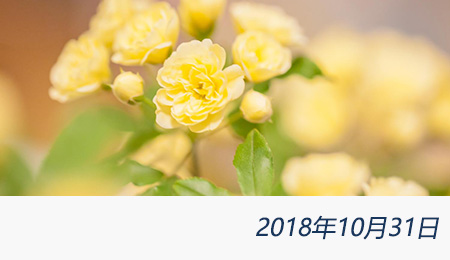 众赢国际(中国)官方网站