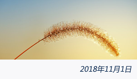 众赢国际(中国)官方网站