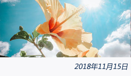 众赢国际(中国)官方网站