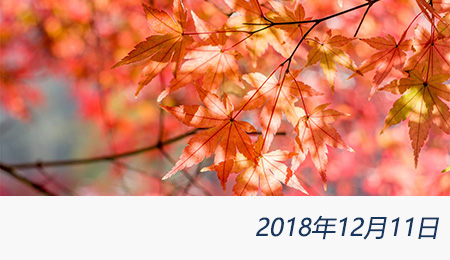 众赢国际(中国)官方网站