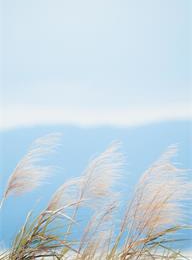 众赢国际(中国)官方网站