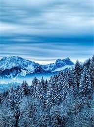 众赢国际(中国)官方网站