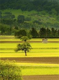 众赢国际(中国)官方网站