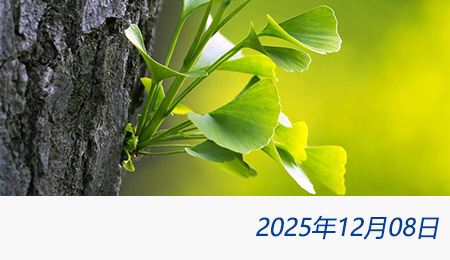 众赢国际(中国)官方网站